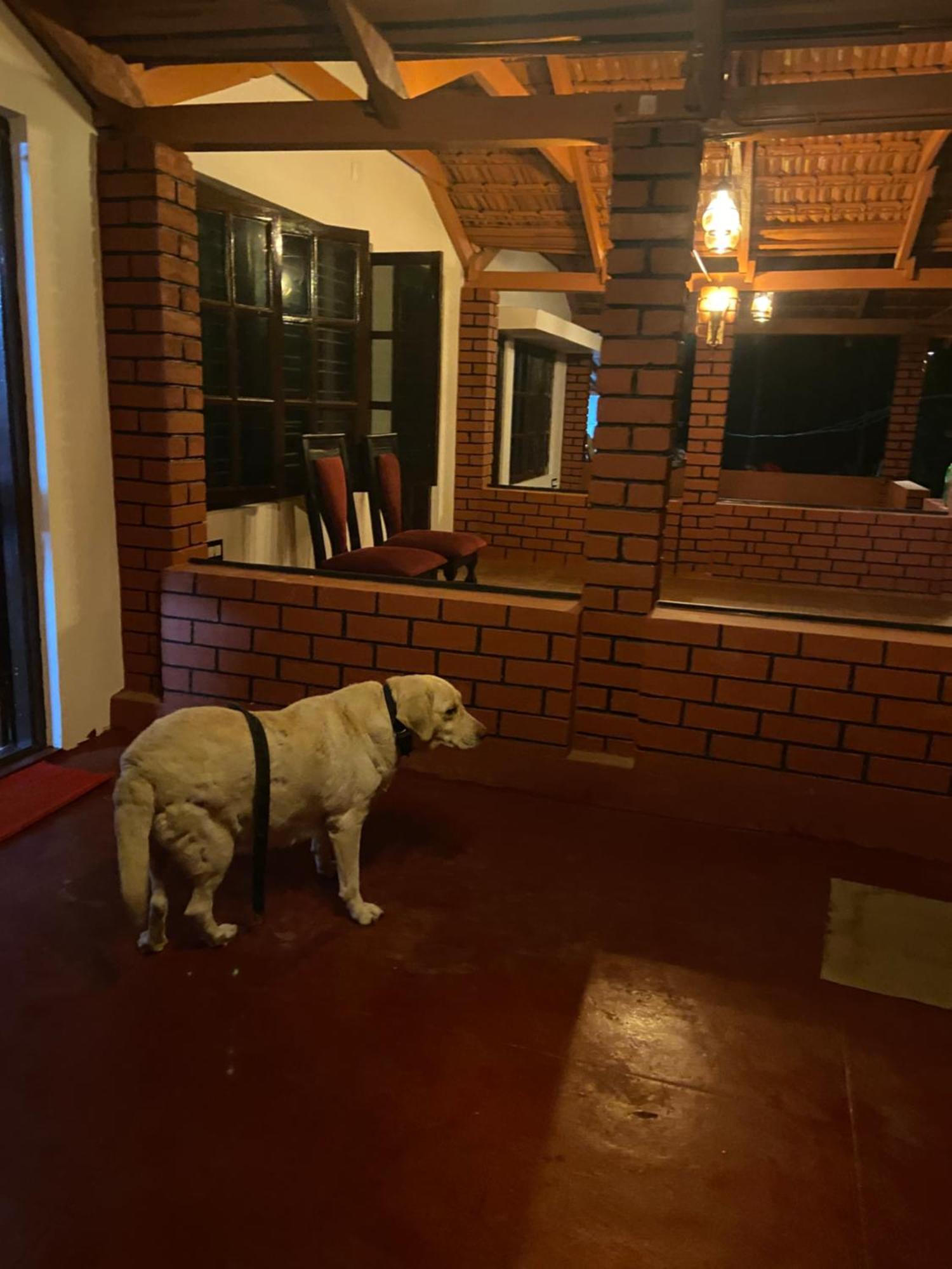 Koodige Stays Mudigere ภายนอก รูปภาพ
